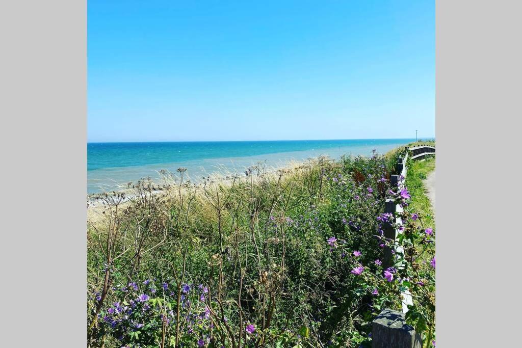 Cliff Garden, Close To Sea 혼지 외부 사진
